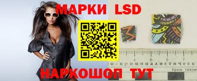 стафф Нальчик
