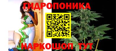 PSILOCYBIN Нарткала